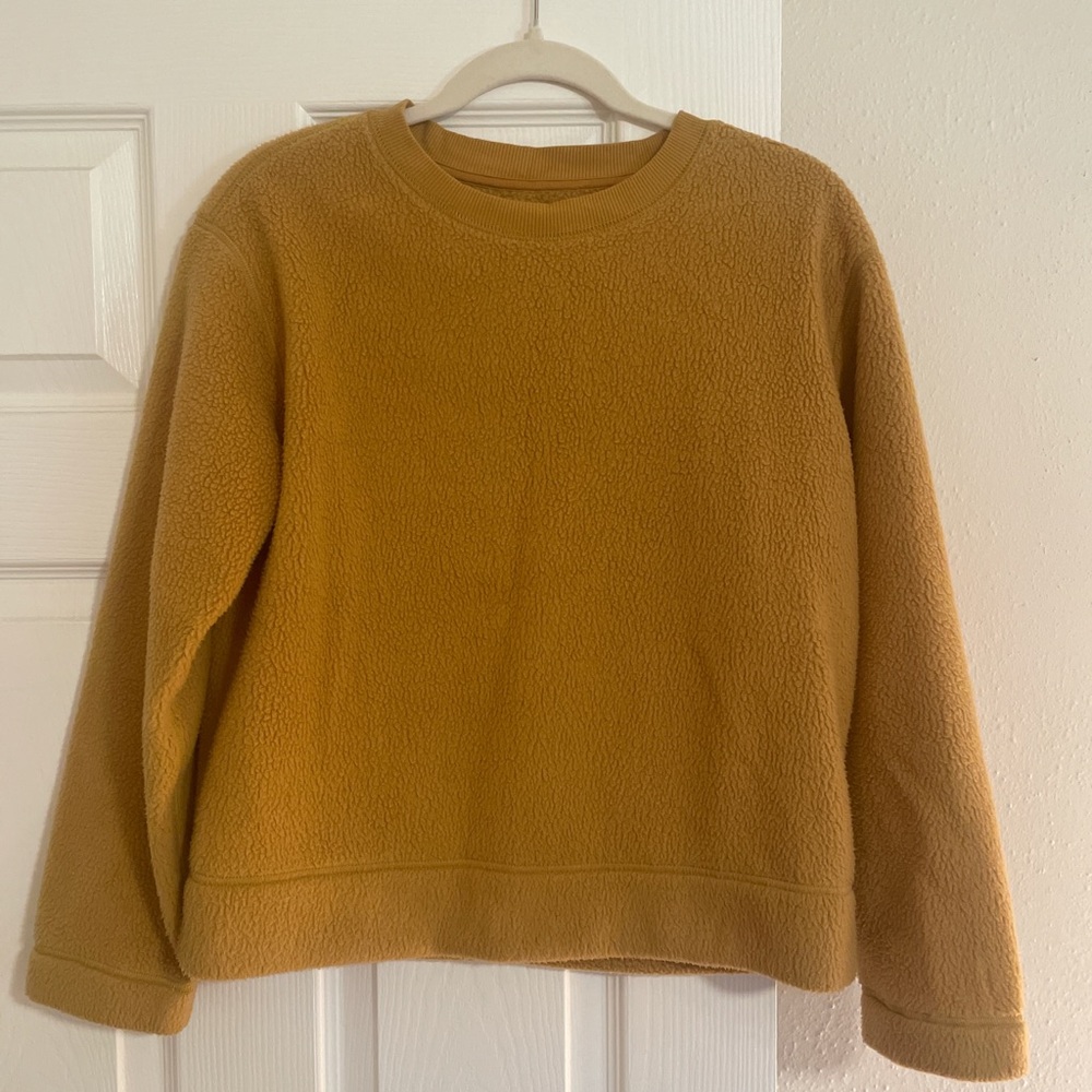 Everlane crewneck sweater